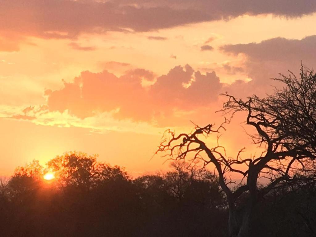Panache Wildlife Cottage-Self Catering Hoedspruit Buitenkant foto